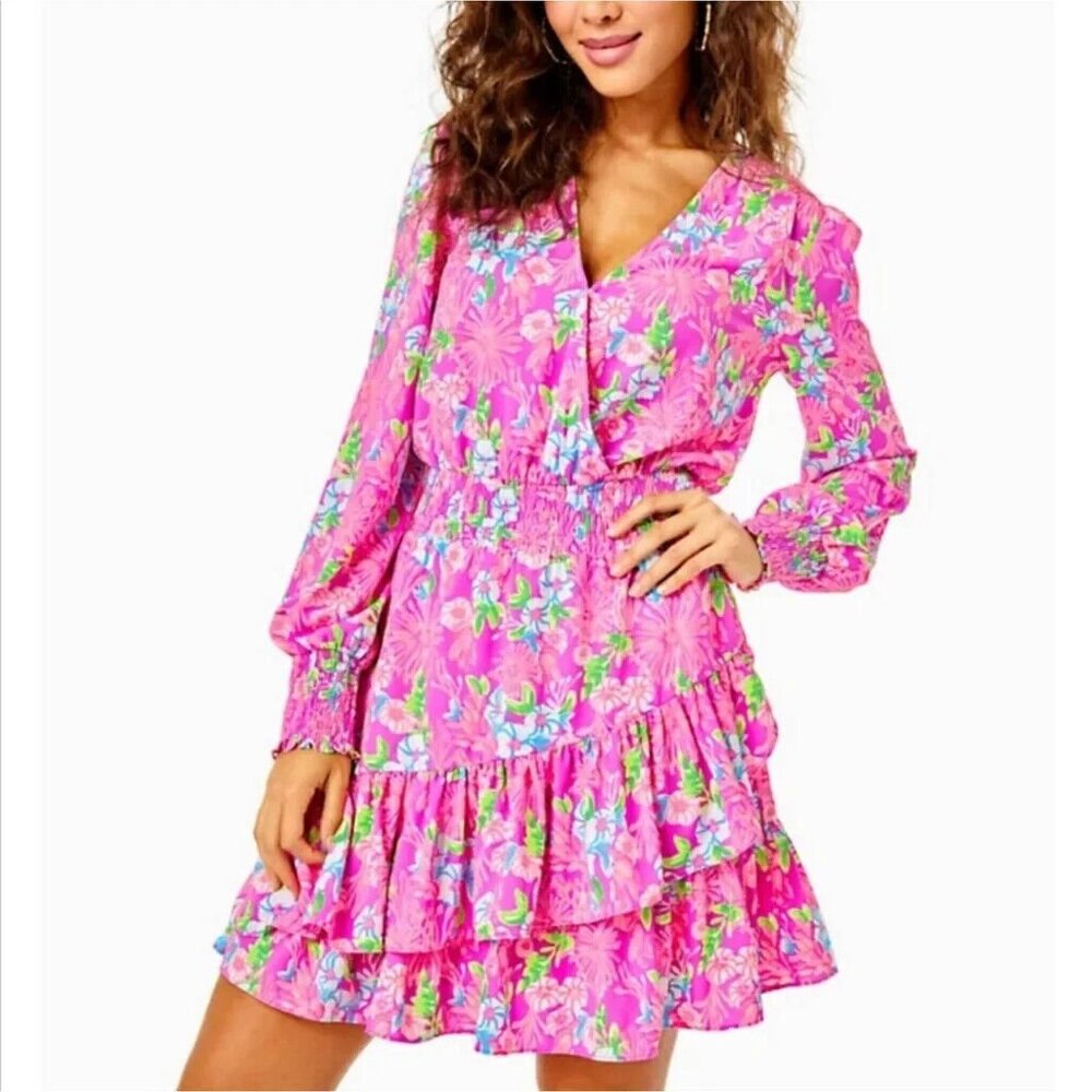 NWOT $228 Lilly Pulitzer Cristiana Dress Stretch Waist Long Sleeve Size 2